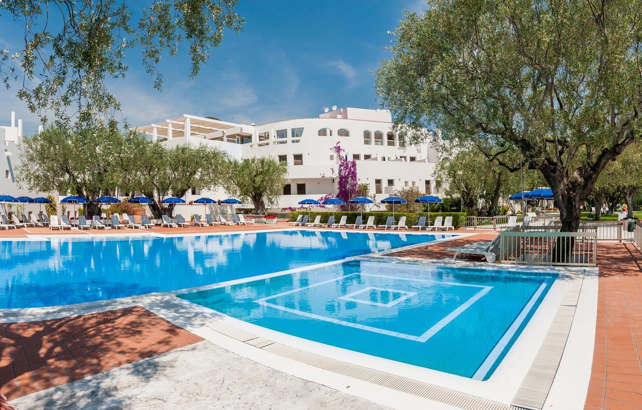 Hotel Torre Oliva 4*