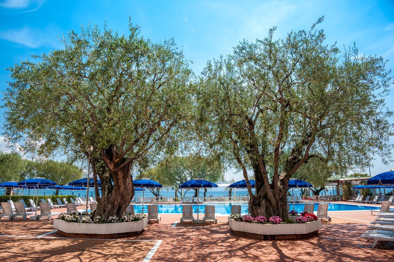 Torre Oliva 4*